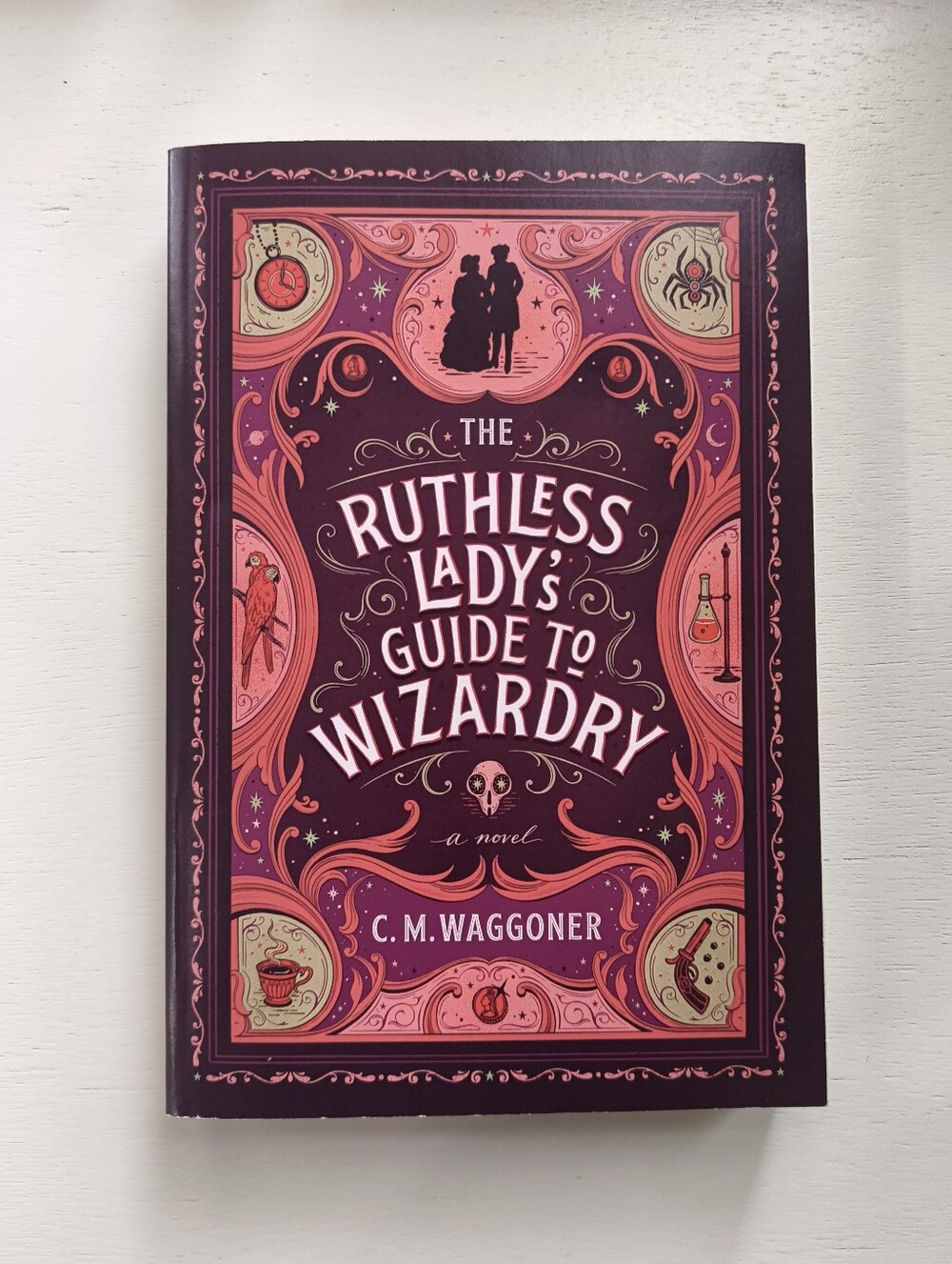The Ruthless Lady's Guide to Wizardry by C.M. Waggoner